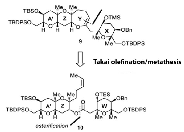 Takai olefination/metathesis